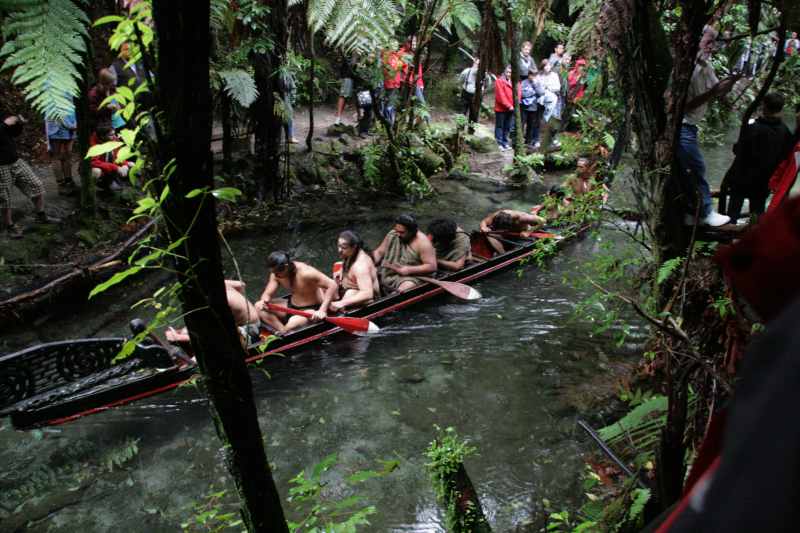 Nieuw-Zeeland 2011 - 0639